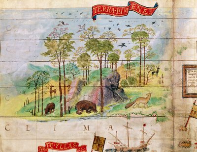 The Canadian Forest (detail) by French School